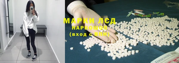 стаф Зеленокумск