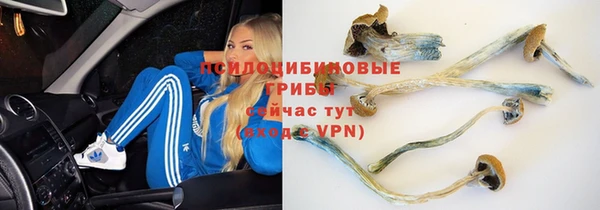 ешки Зеленодольск