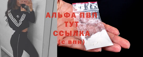 тгк Инта