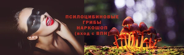 ешки Зеленодольск
