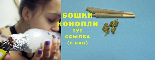 стаф Зеленокумск