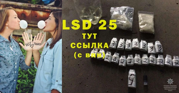 стаф Зеленокумск