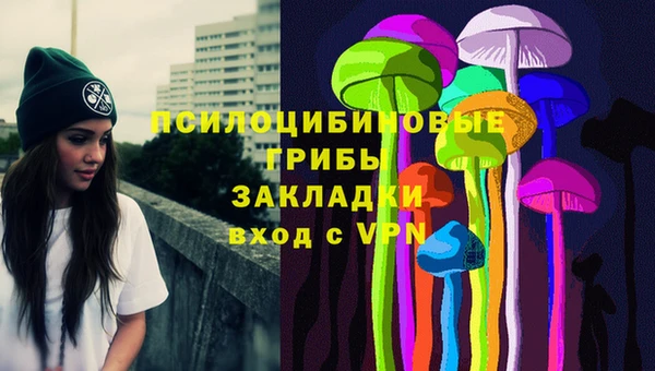 ешки Зеленодольск