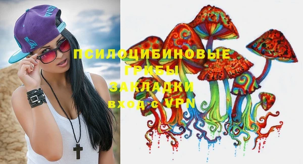 стаф Зеленокумск