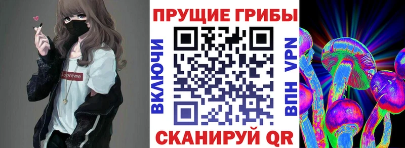 Псилоцибиновые грибы GOLDEN TEACHER  Купить  Западная Двина 