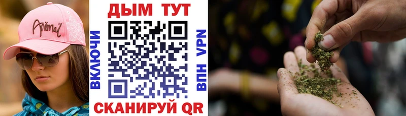 Купить  Западная Двина  МАРИХУАНА план 